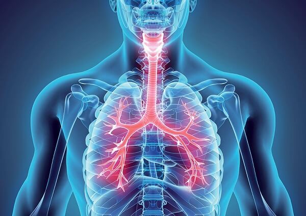 Miguel Duarte Martins Estaregui-0