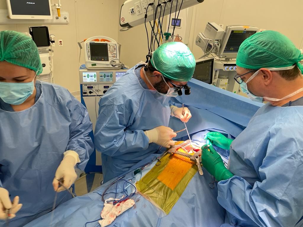 Vlander Gomes Costa Júnior-0