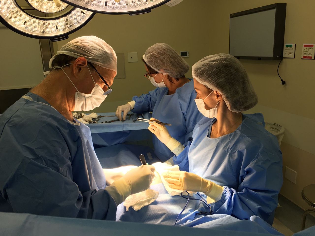 Luciana De Oliveira Fialho Hill-6