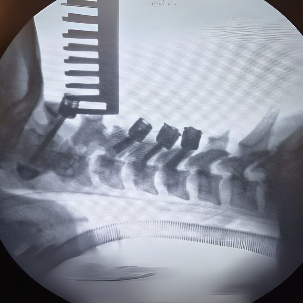 David Tafur Muñoz-1352