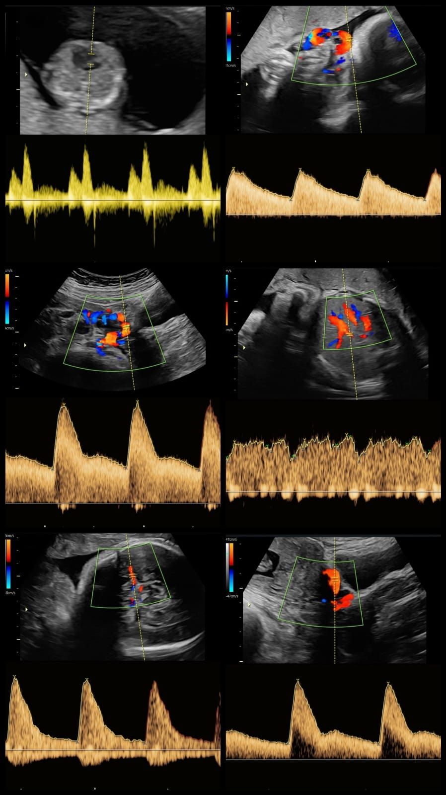 Jessica Paola Barón Avendaño-3