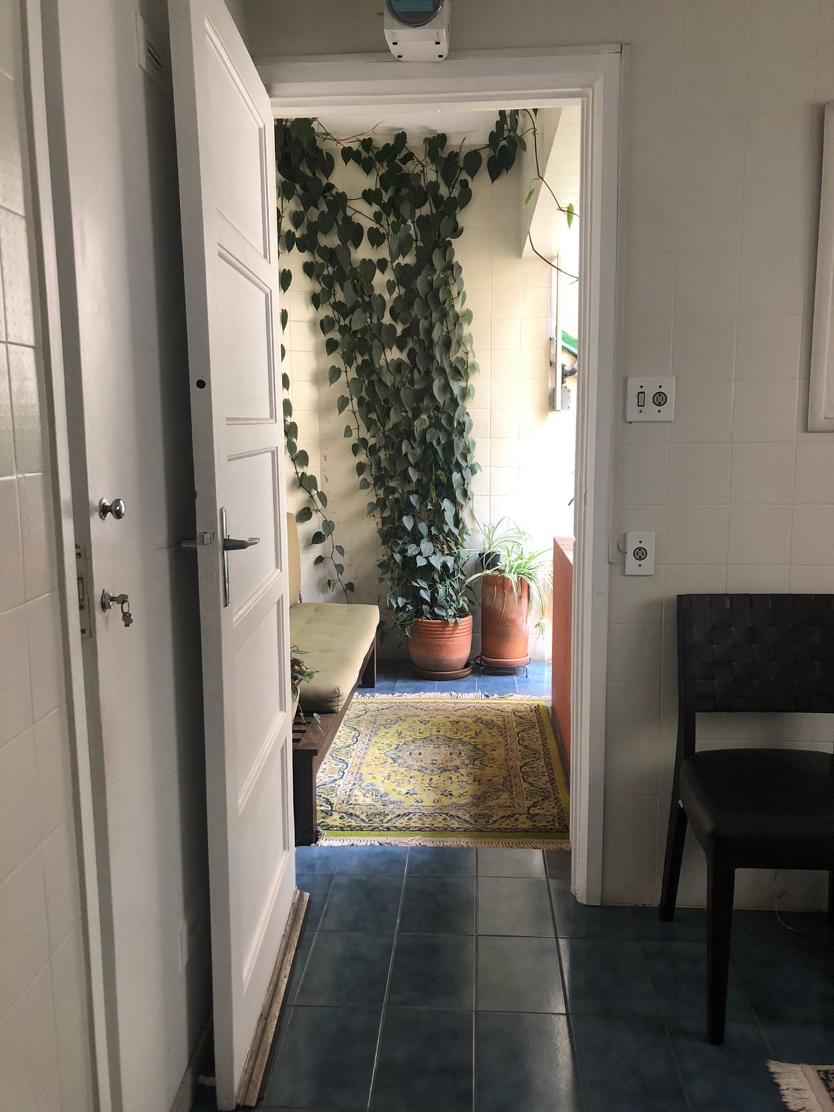 Julia Fontana Desinano-5