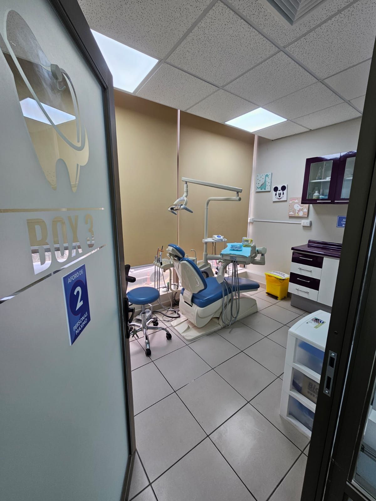 Ximena Araya Hurtado-1