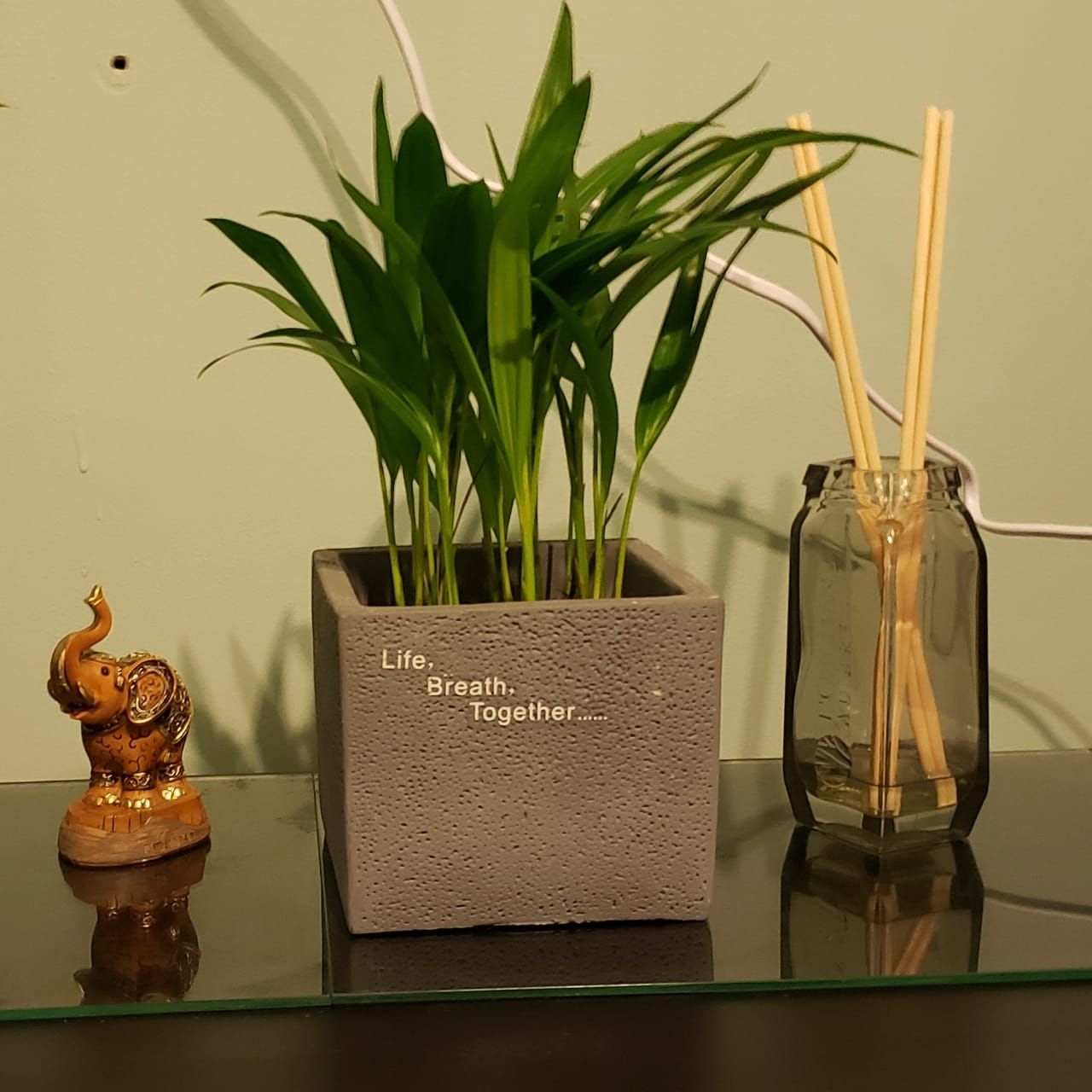 Vanessa De Andrade-1