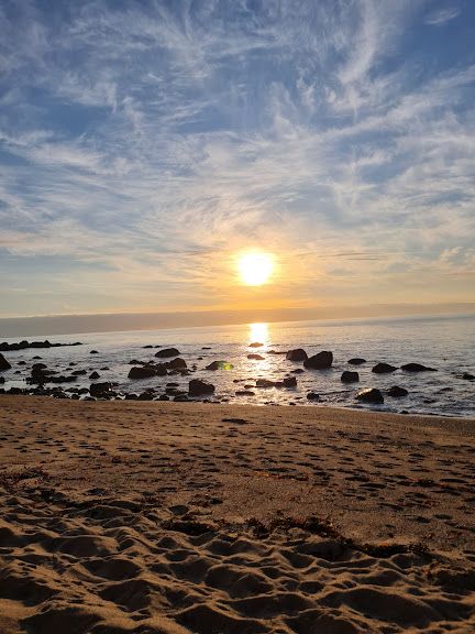 Romy Bravovisch Froimovich-7