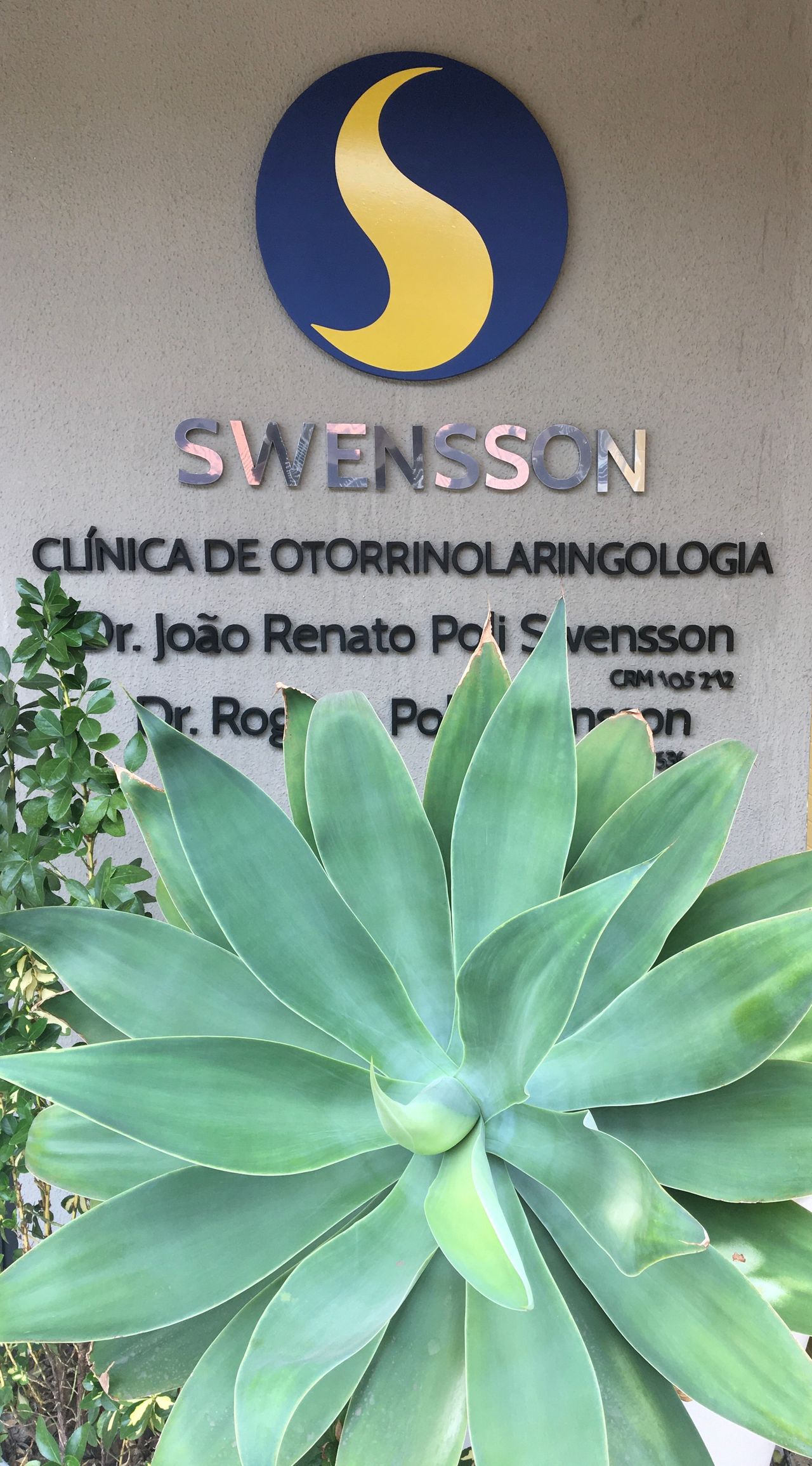 Joao Renato Swensson-6
