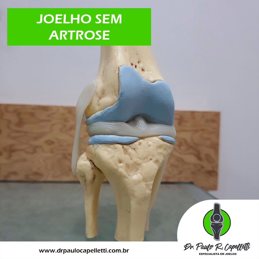 Paulo Roberto Capelletti-63