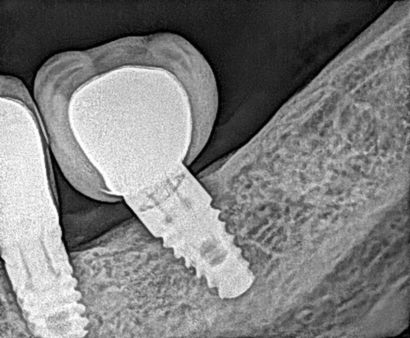 Martha Liliana Millan Diaz-39