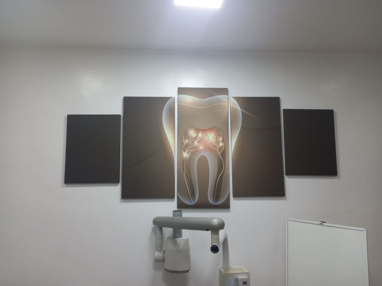 Paula Veridiana Uehbe Dias-1