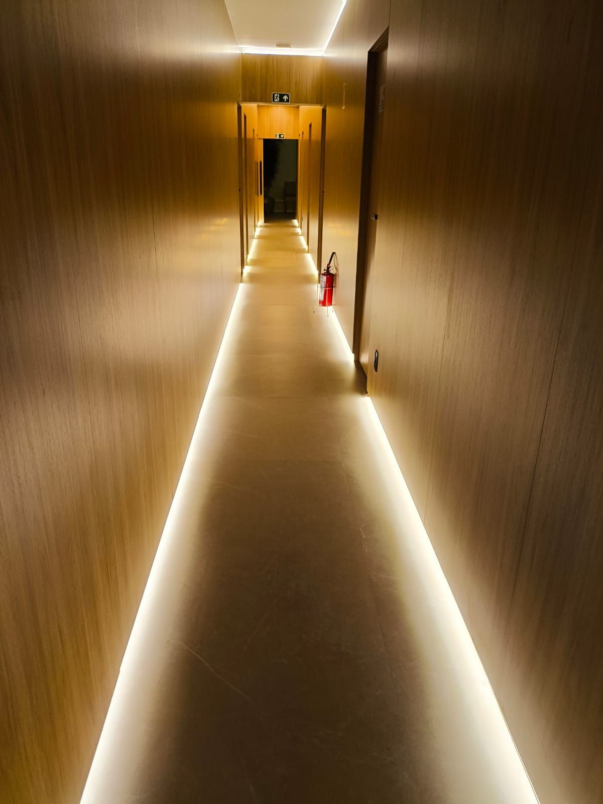 Luis Antonio De Oliveira Silva-2