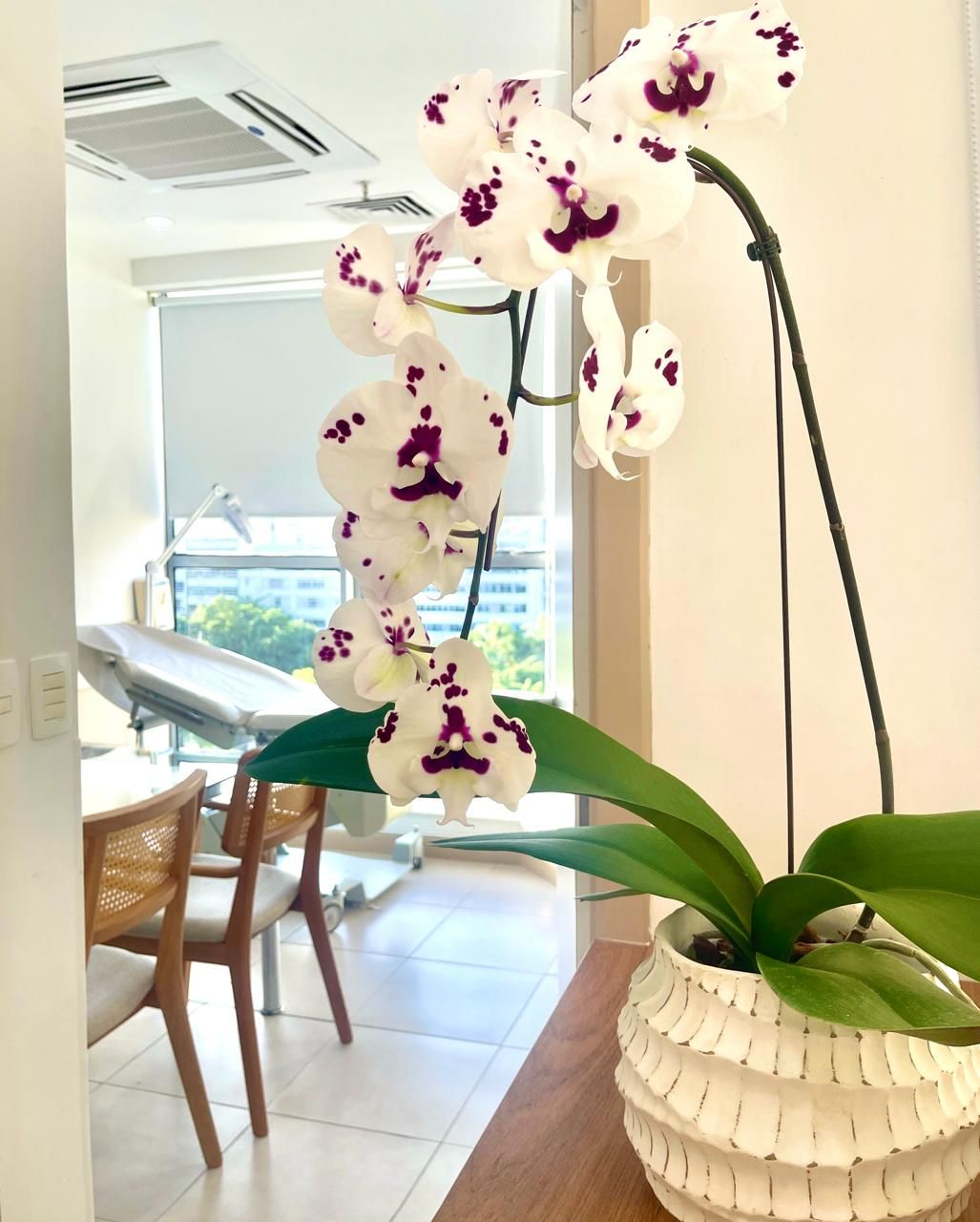 Marina Schaus Granthon Da Costa-0