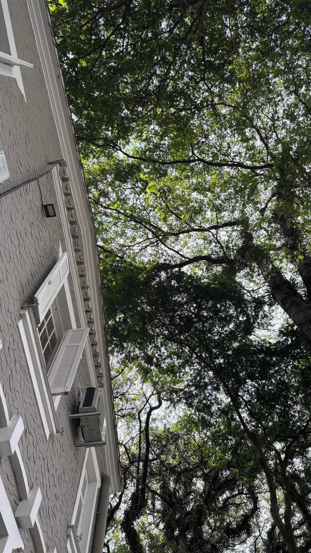 Stephanie Avesani João Figueiredo Carneiro-5