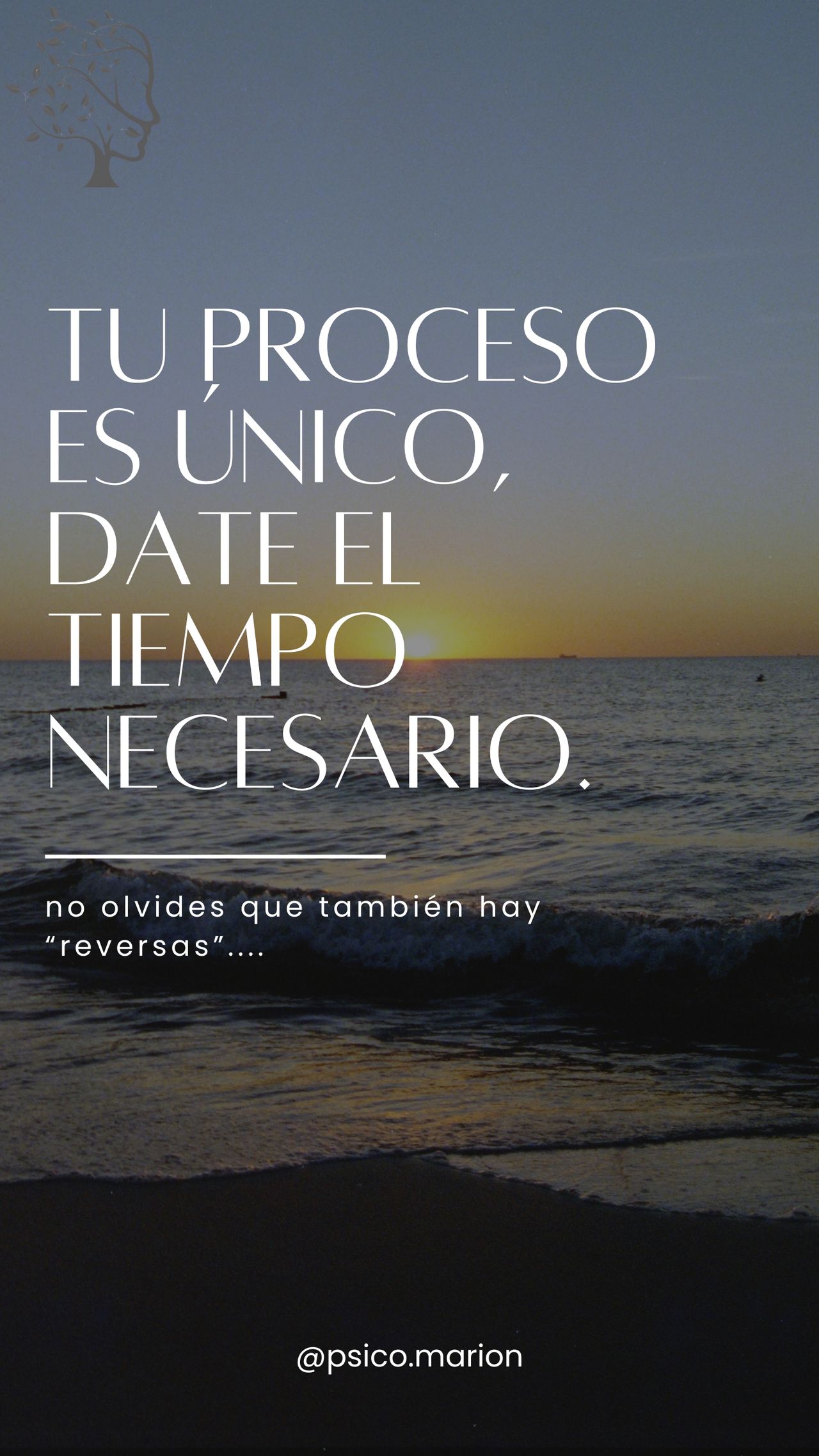 Marion Meneses Guerra-11