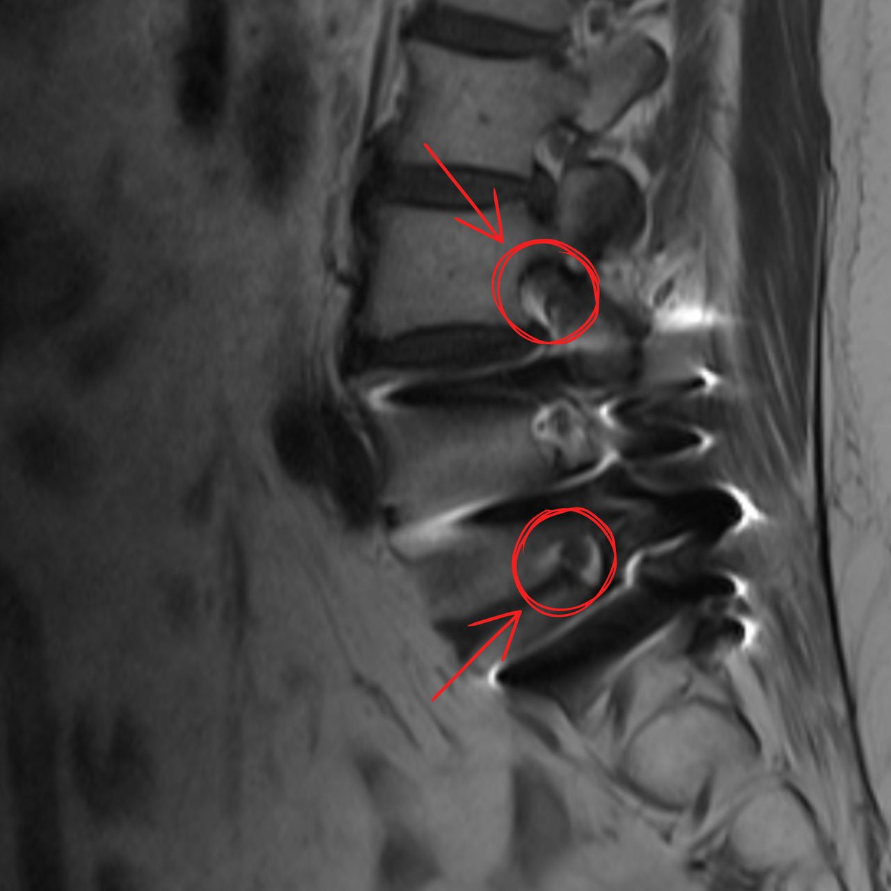 David Tafur Muñoz-1855