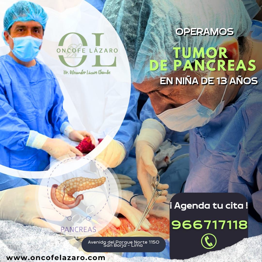 Alexander Alonso Lázaro Chumbe-21