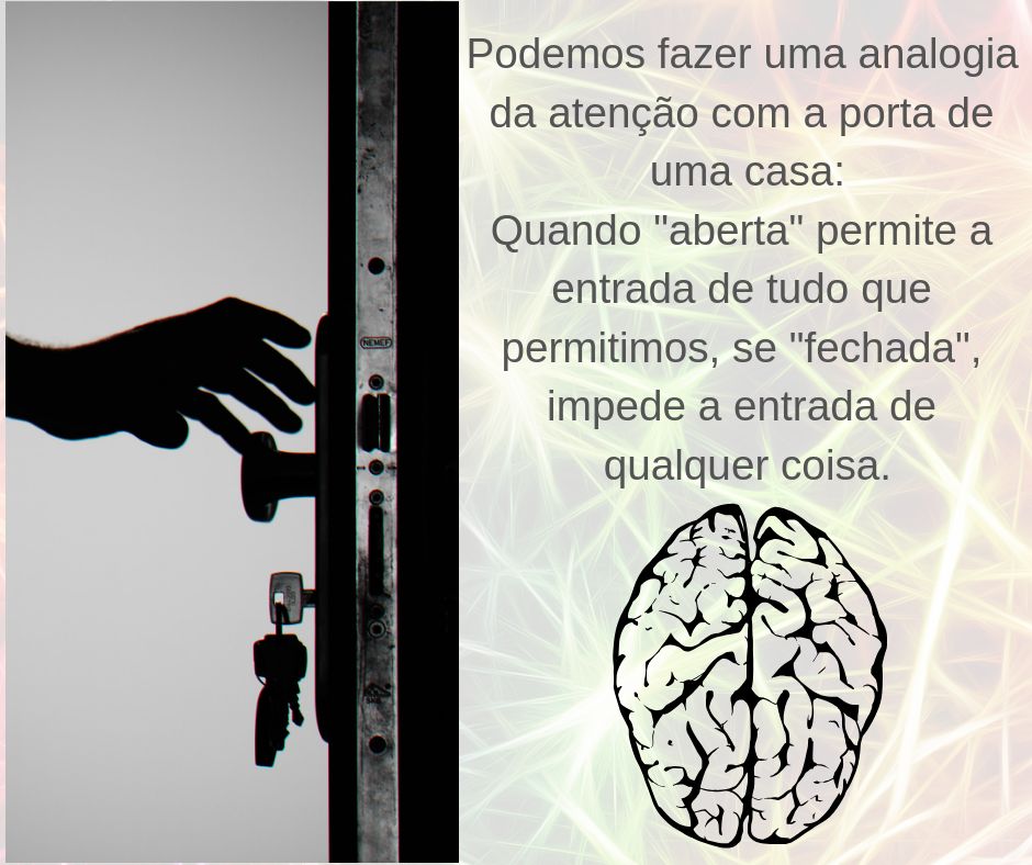 Margarete Motta Thomaz Castilho-17