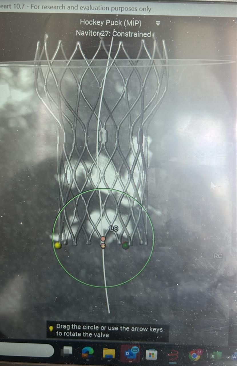 Leonardo Da Cruz Nunes-1