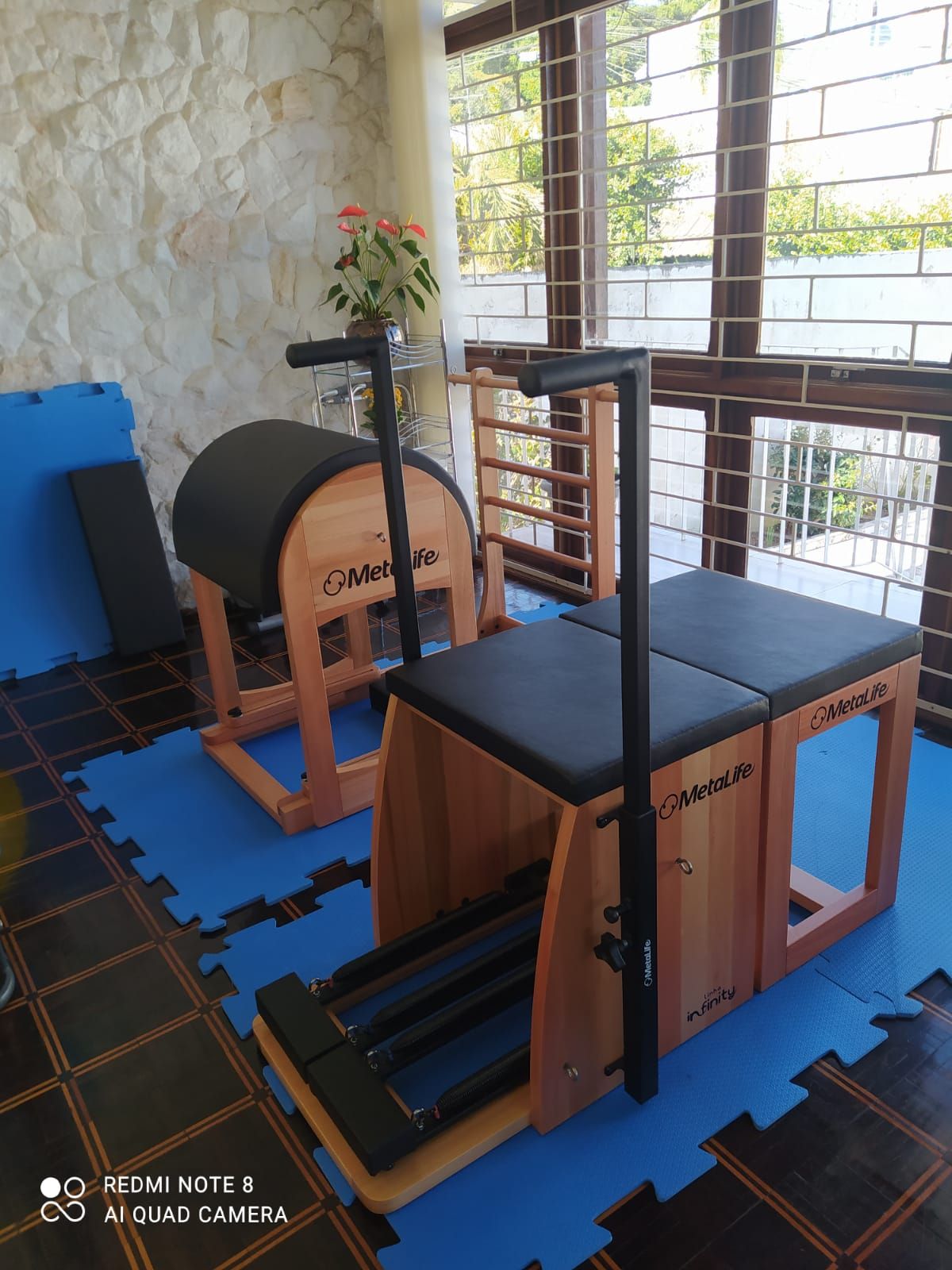 Célia Regina Fróes-3