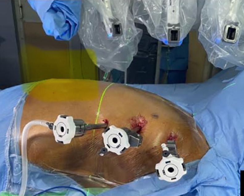 Rodrigo Ribeiro De Souza-4