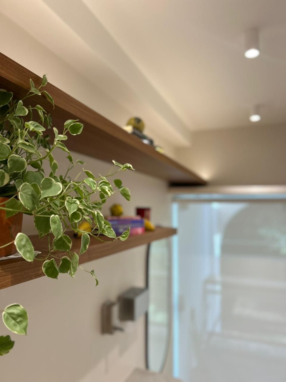 Ana Carolina Reis Teixeira-2