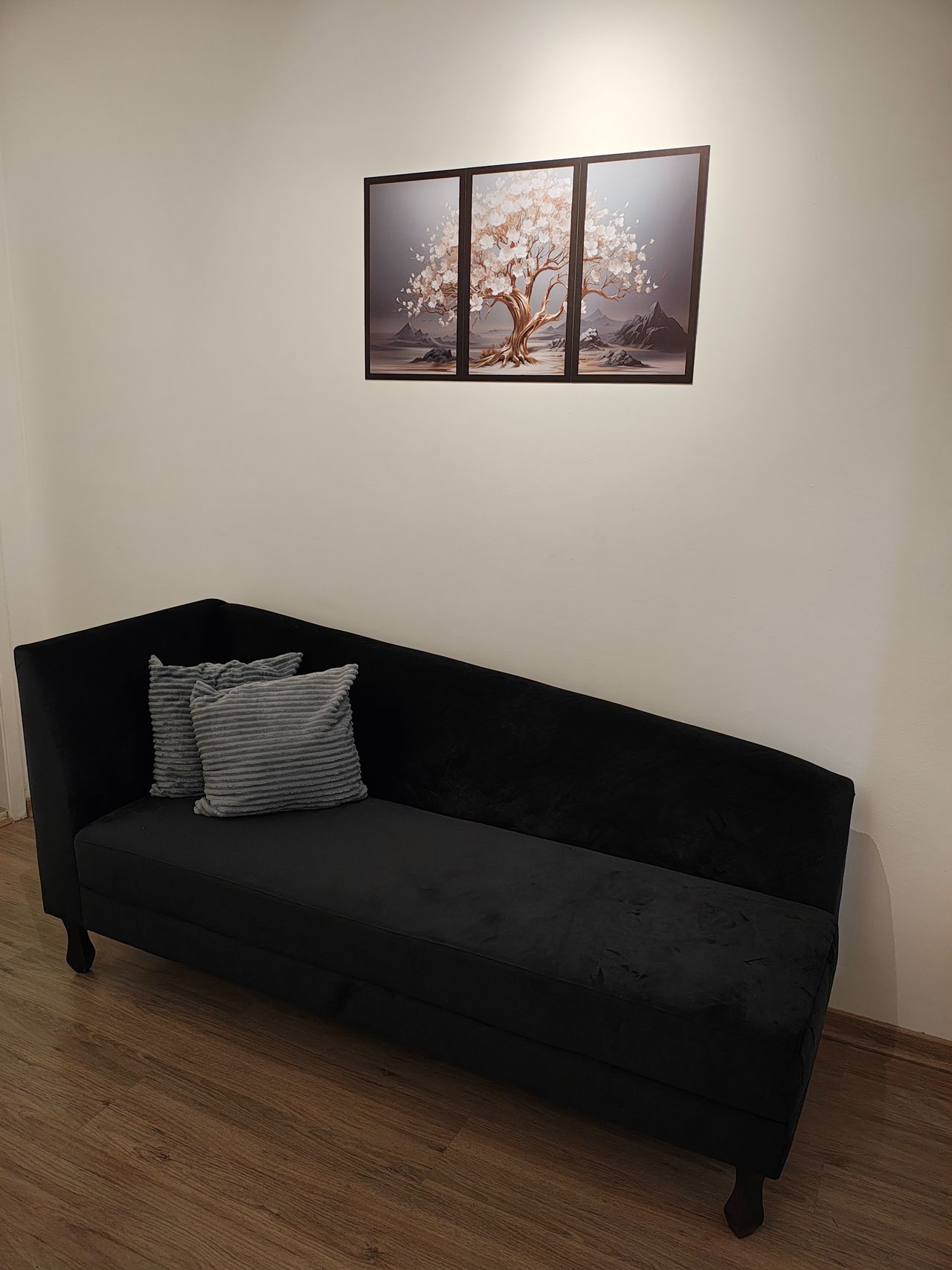 Priscila Santos Valerio-2