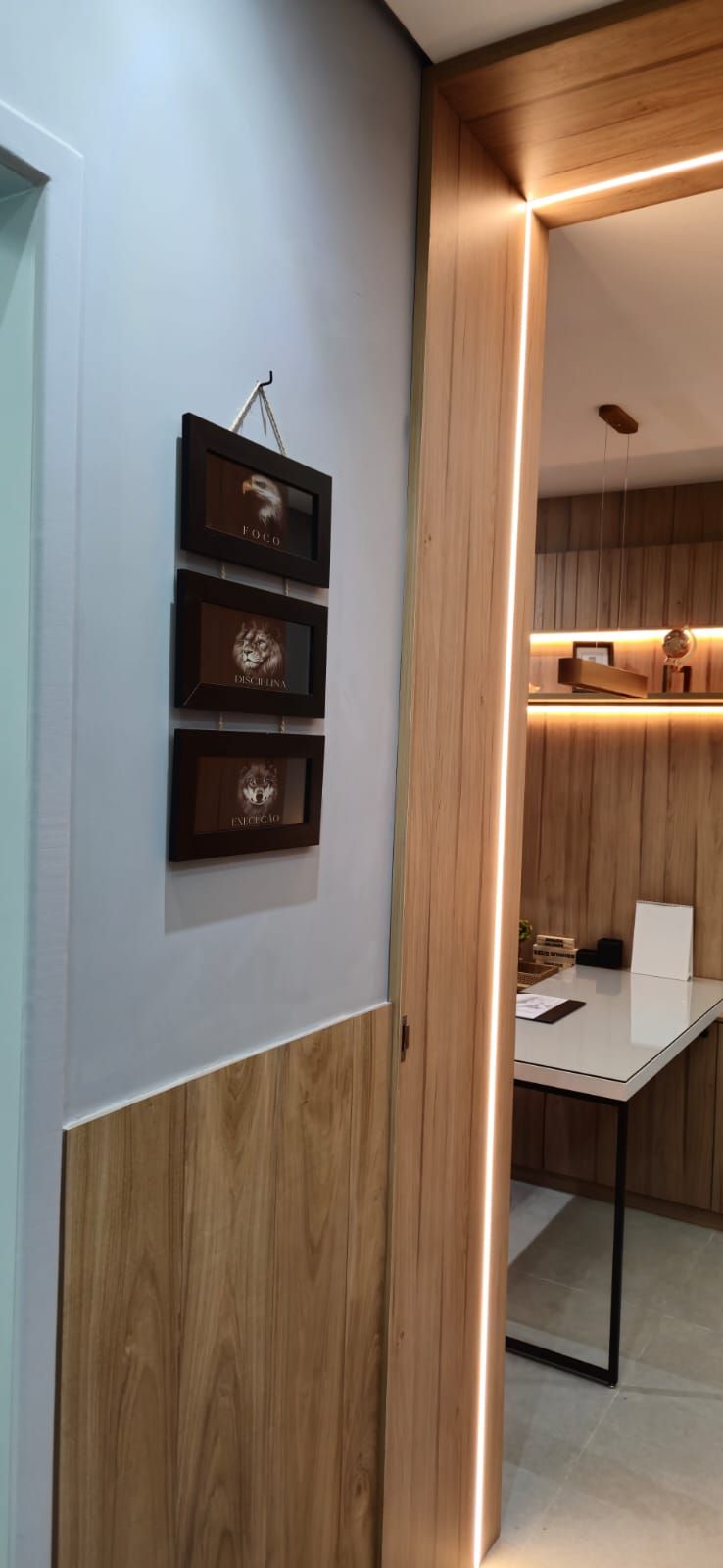 João Felipe Paravidino Alves-6