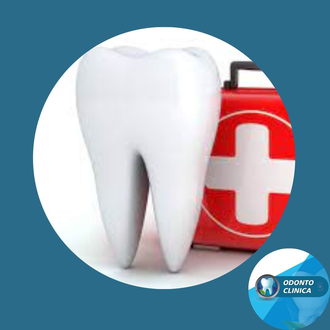 Cecilia Inés Socias Altamirano-31