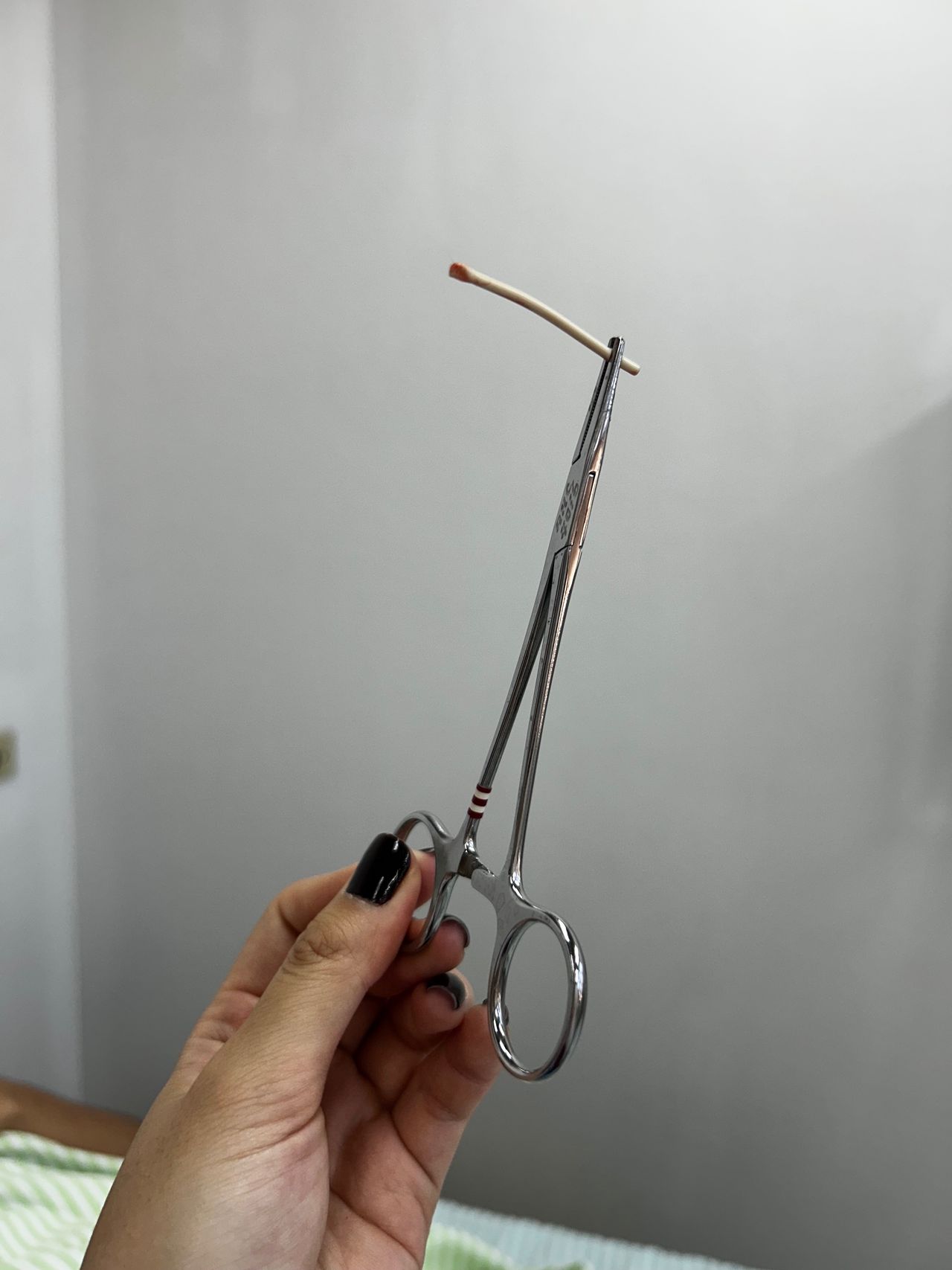 Lissa  Okamura Asada-2