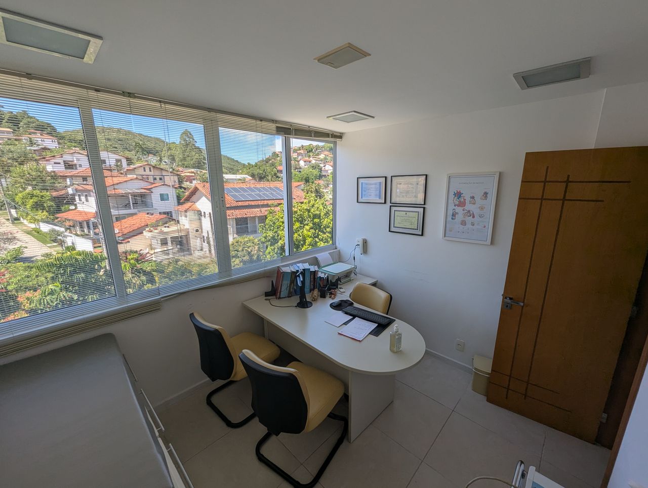 Beatriz Brígido Pontes-2