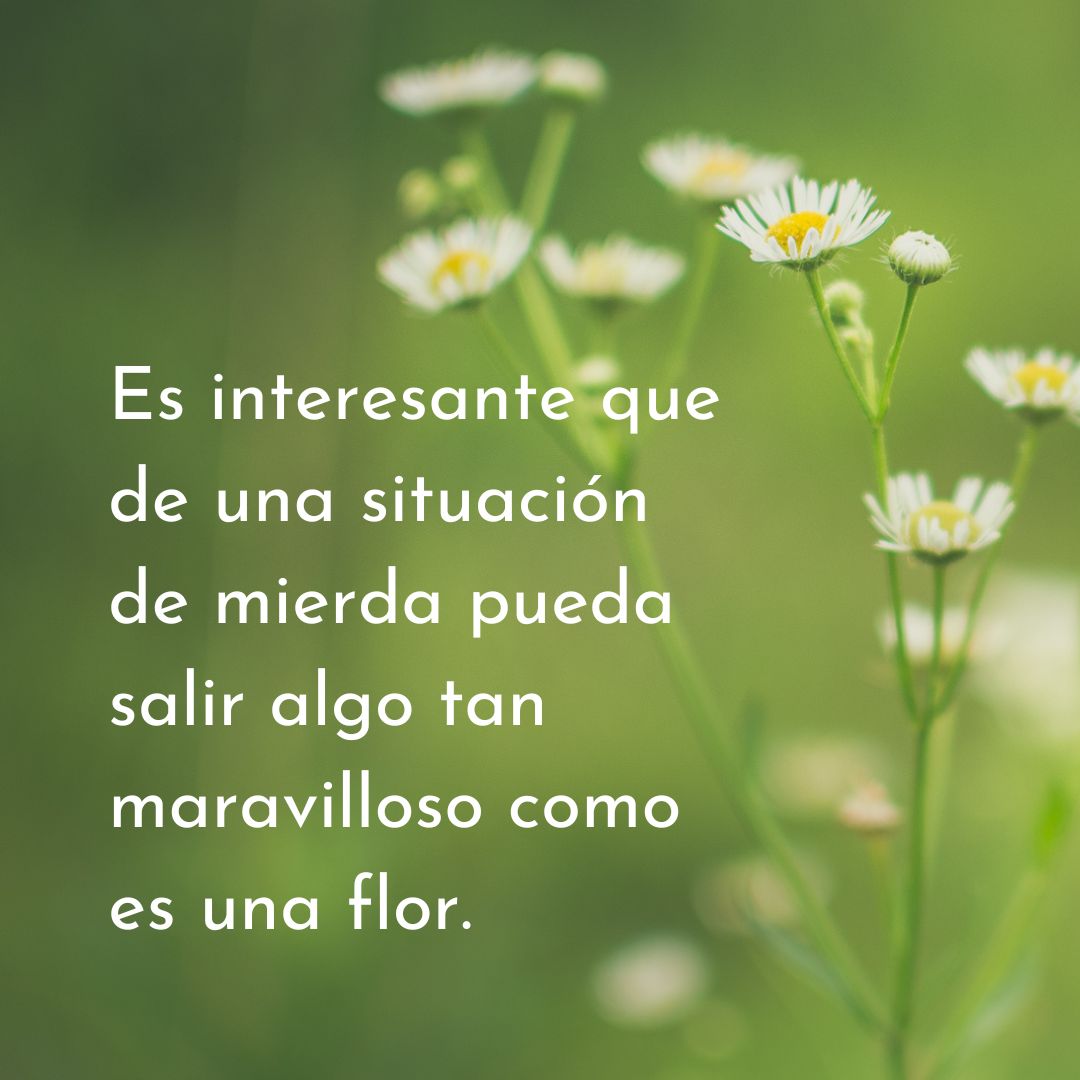 Rosario Abraham De La Fuente-4