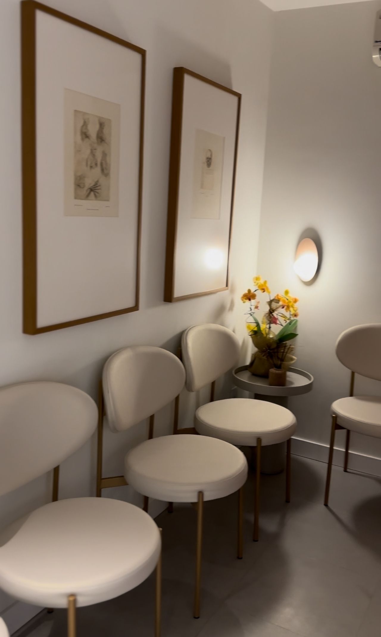 Thaina Moreira Shan-2