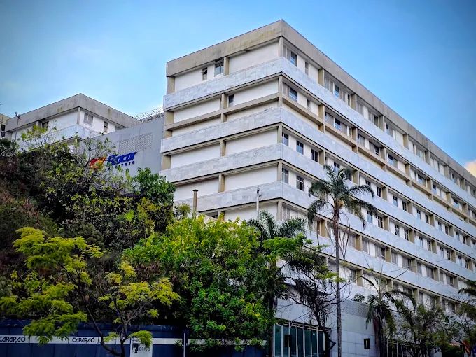 Bárbara Côrtes Gazire-2