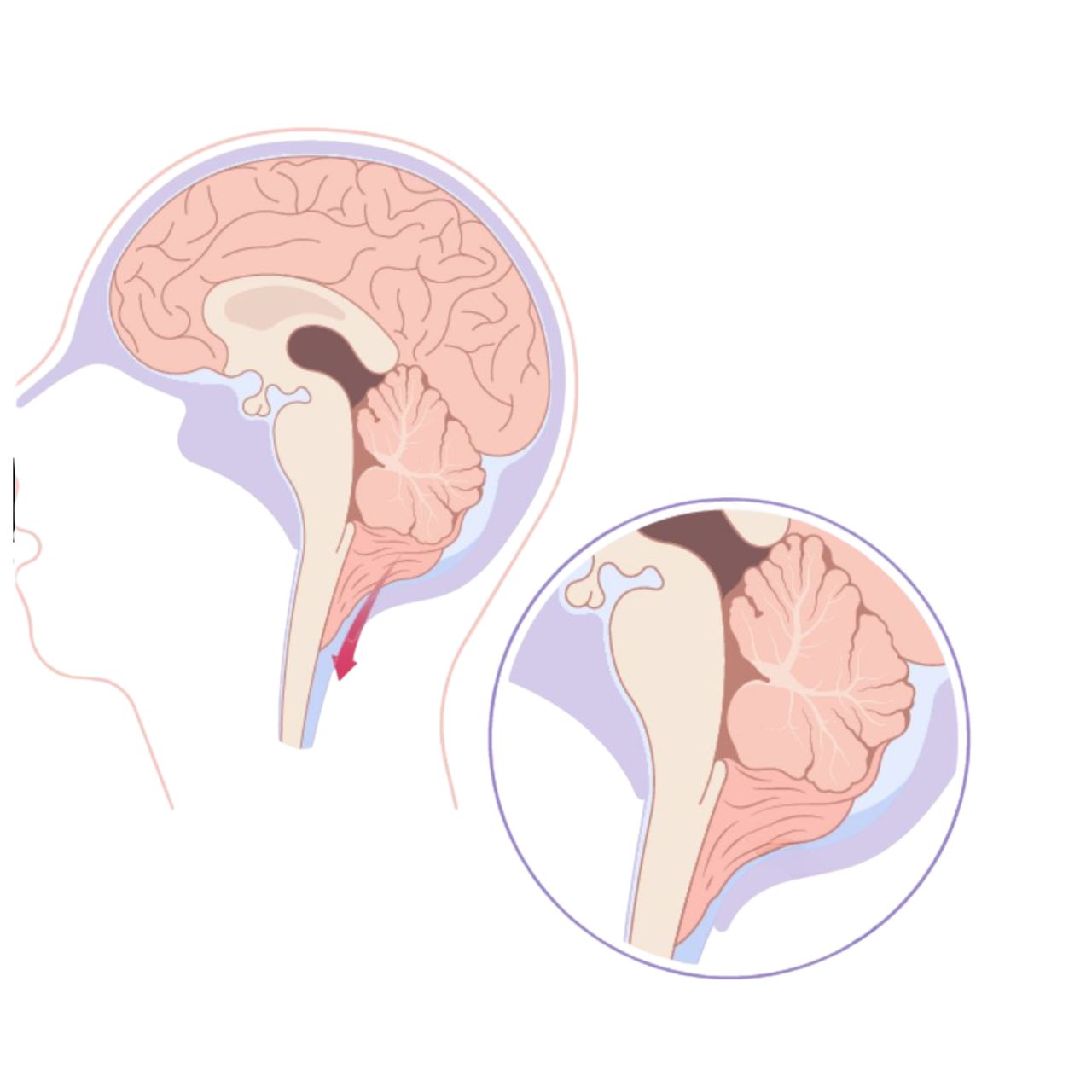 David Tafur Muñoz-1912