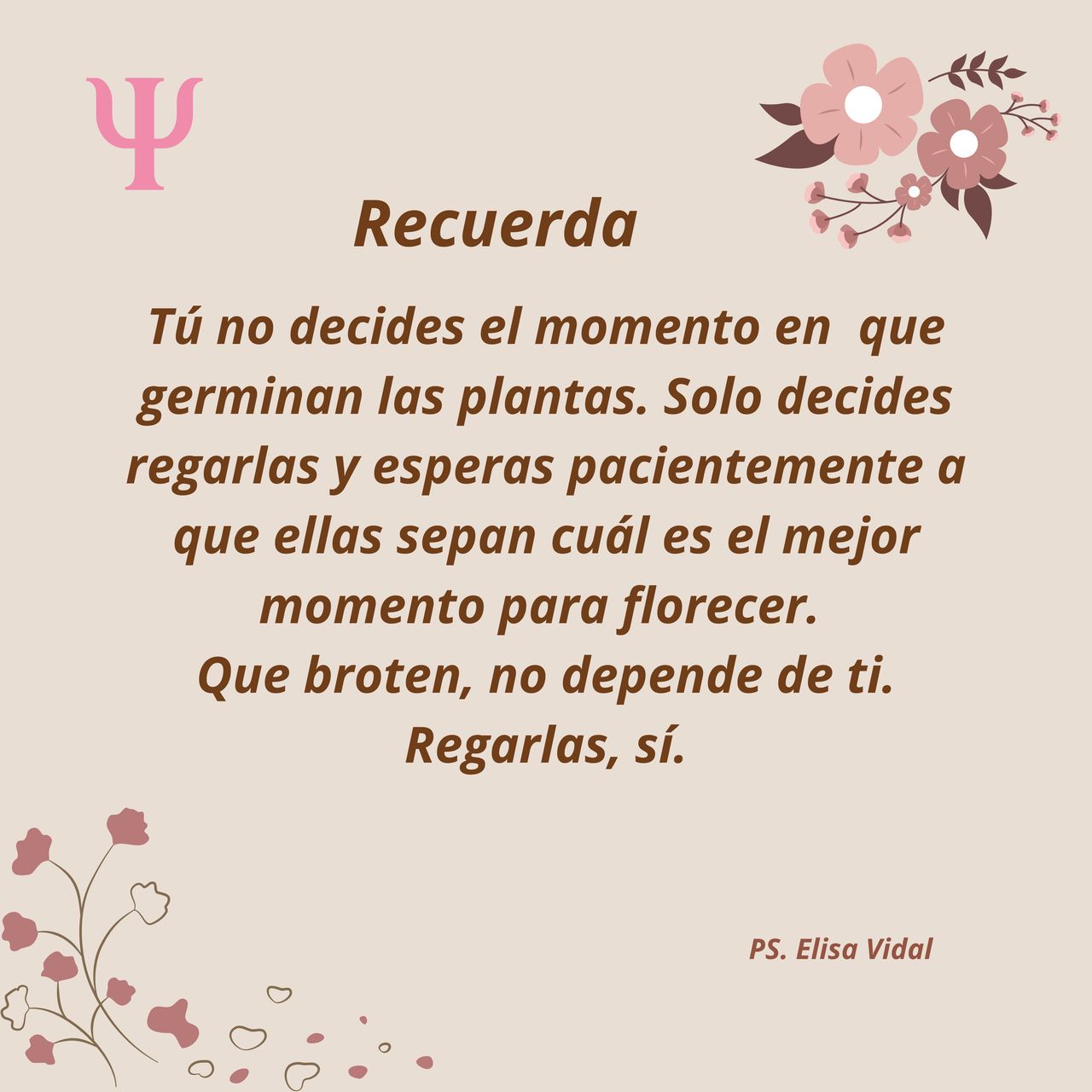 Elisa Vidal Ortega-3