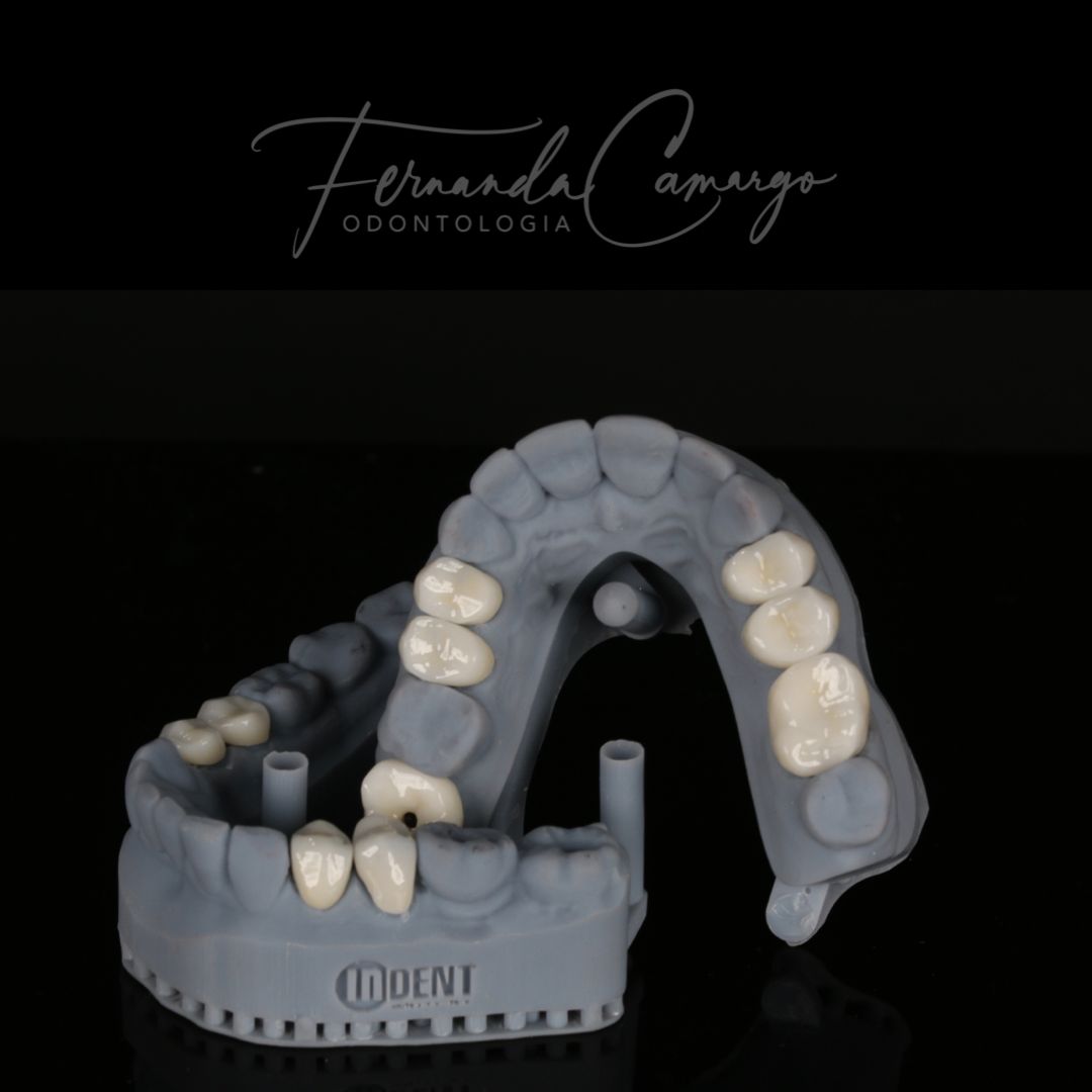 Fernanda Camargo Silveira-3