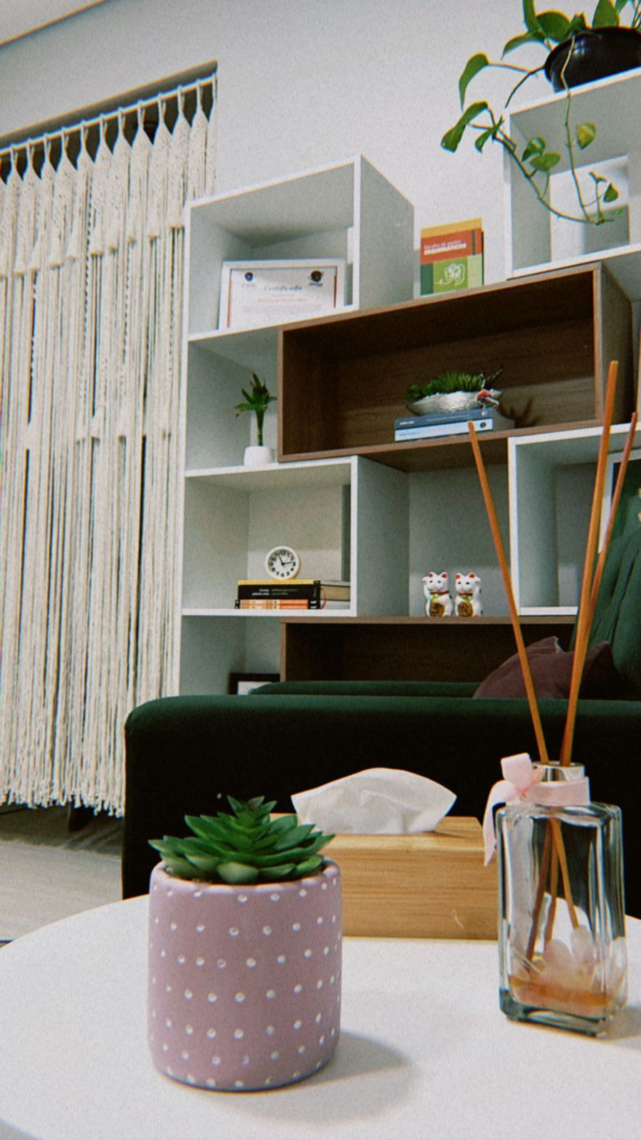 Luiza Christofoletti Vito-4