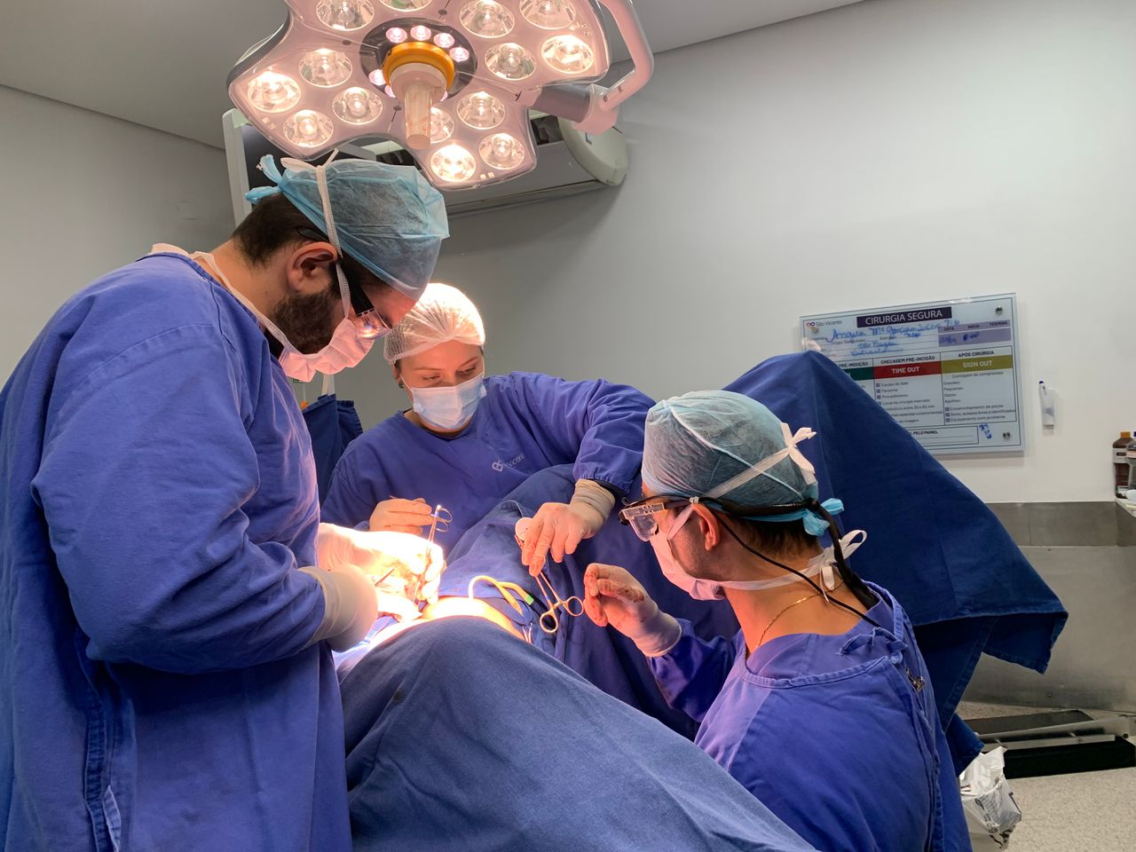 Guilherme Olivetti Guarneri-2