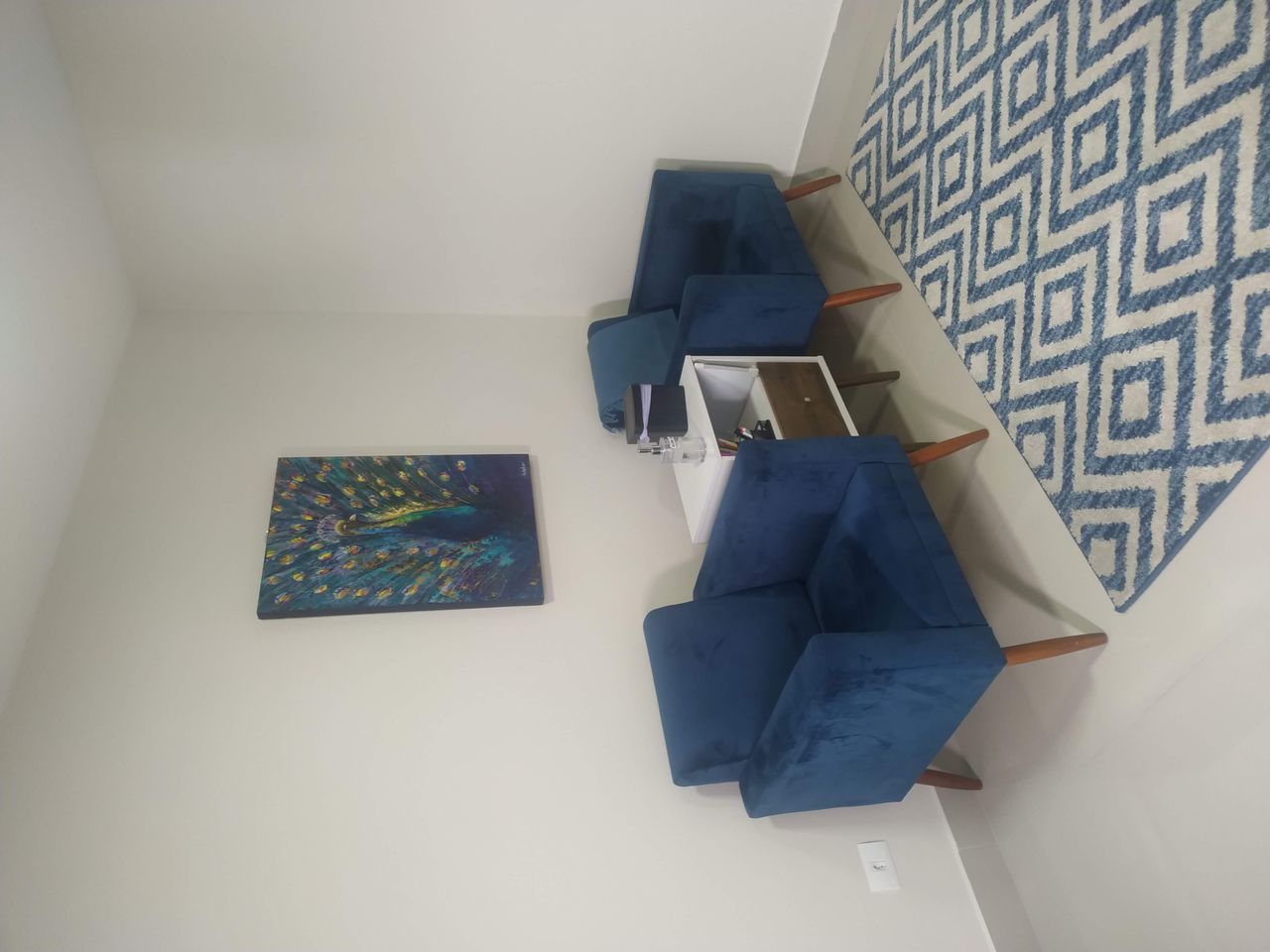 Ana Luiza Farias Ferreira-0