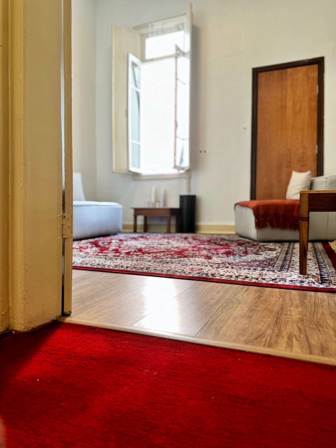 Luiza Vicentini Godoy De Lucca-8