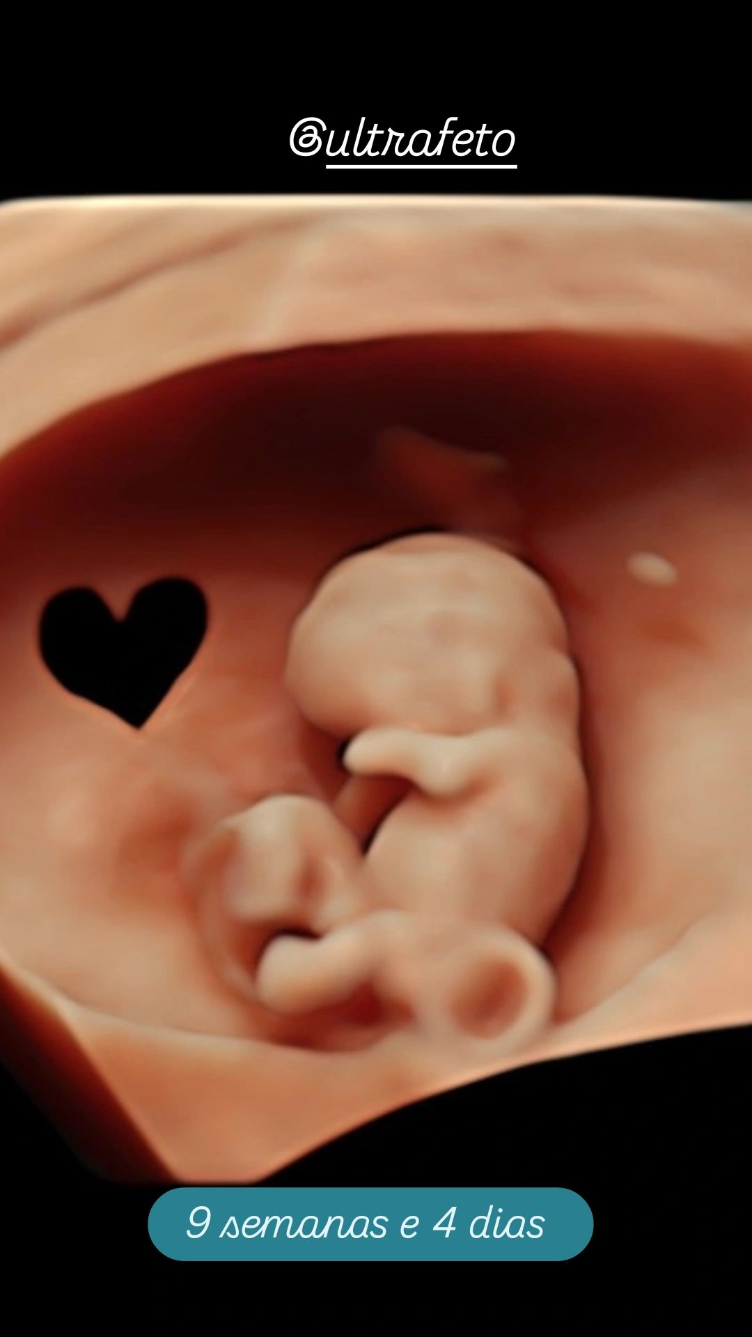 Patricia Chagas P. De M. M.  Moriel-0