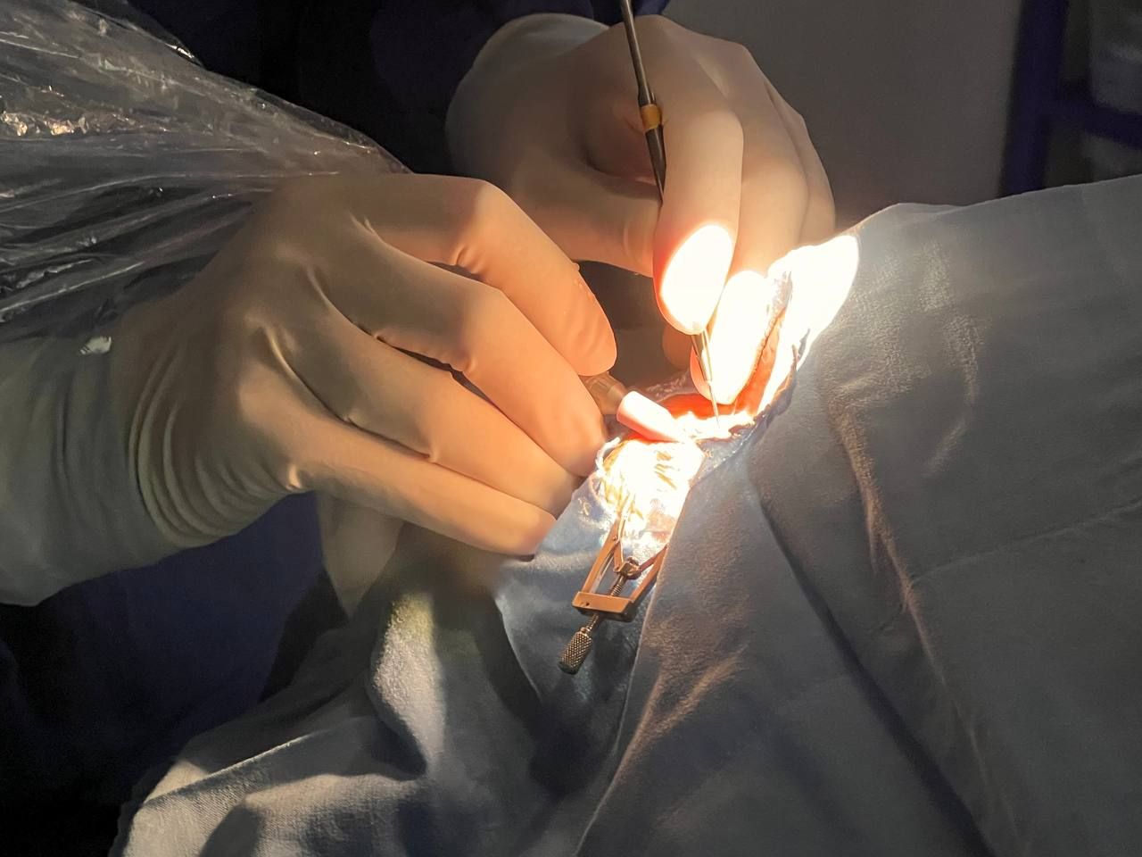 Jesus Antonio Daza Cruz-2