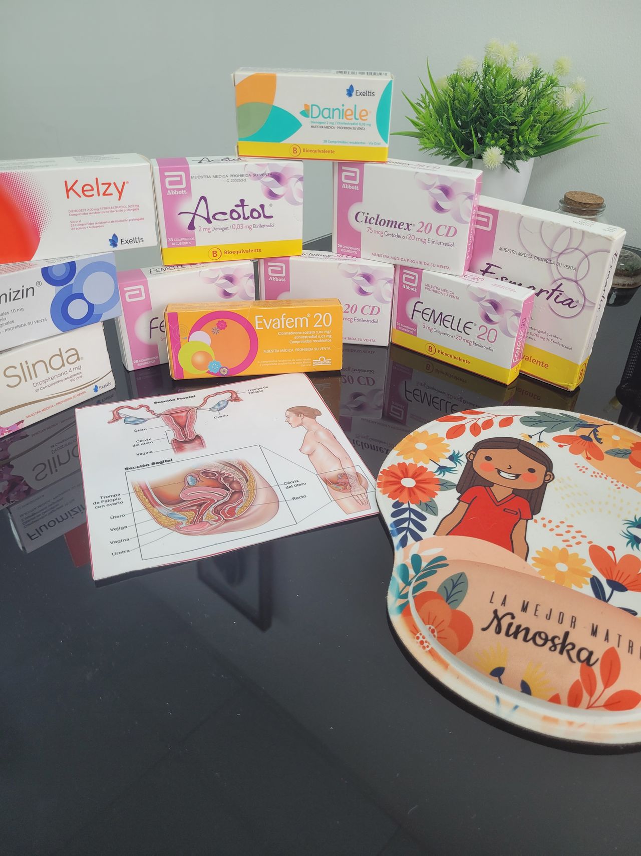 Ninoska Oportus Argel-2