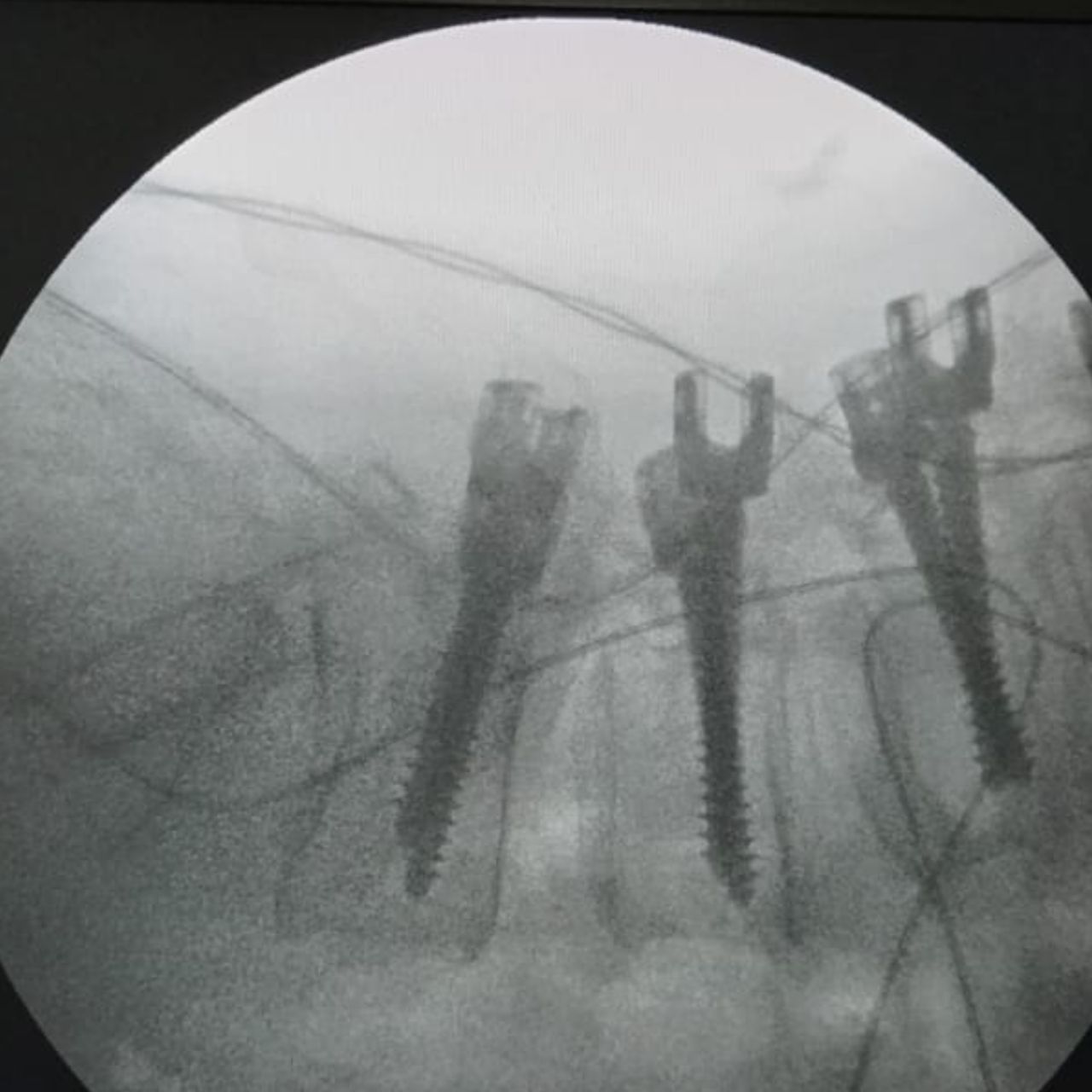 David Tafur Muñoz-1503