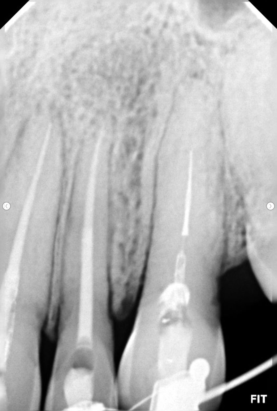 Daniele  Sunto Spinola-6