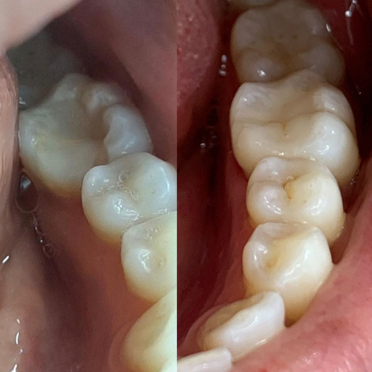 Ana Carolina Paschoalino-10