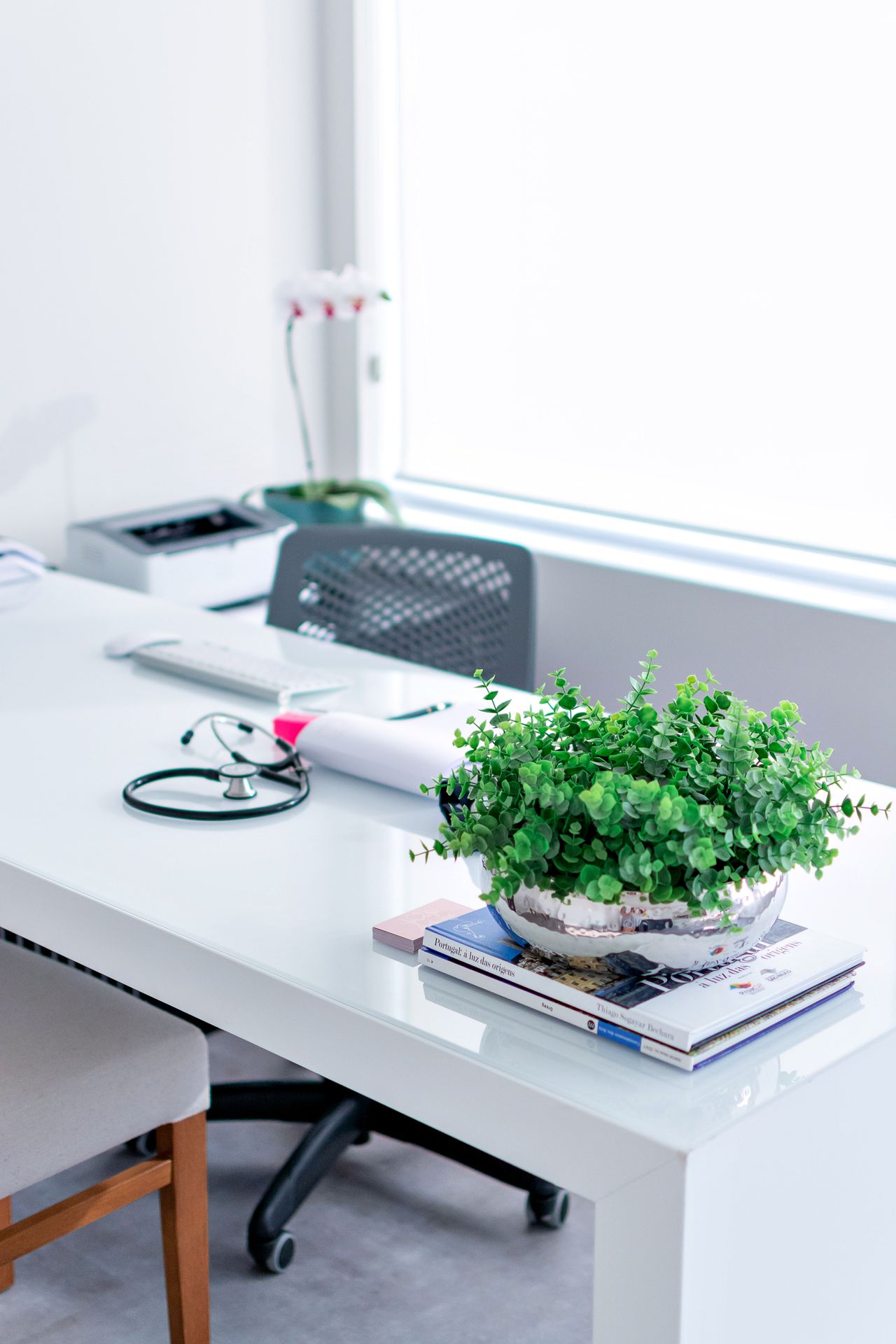 Lara Assed De Souza-4