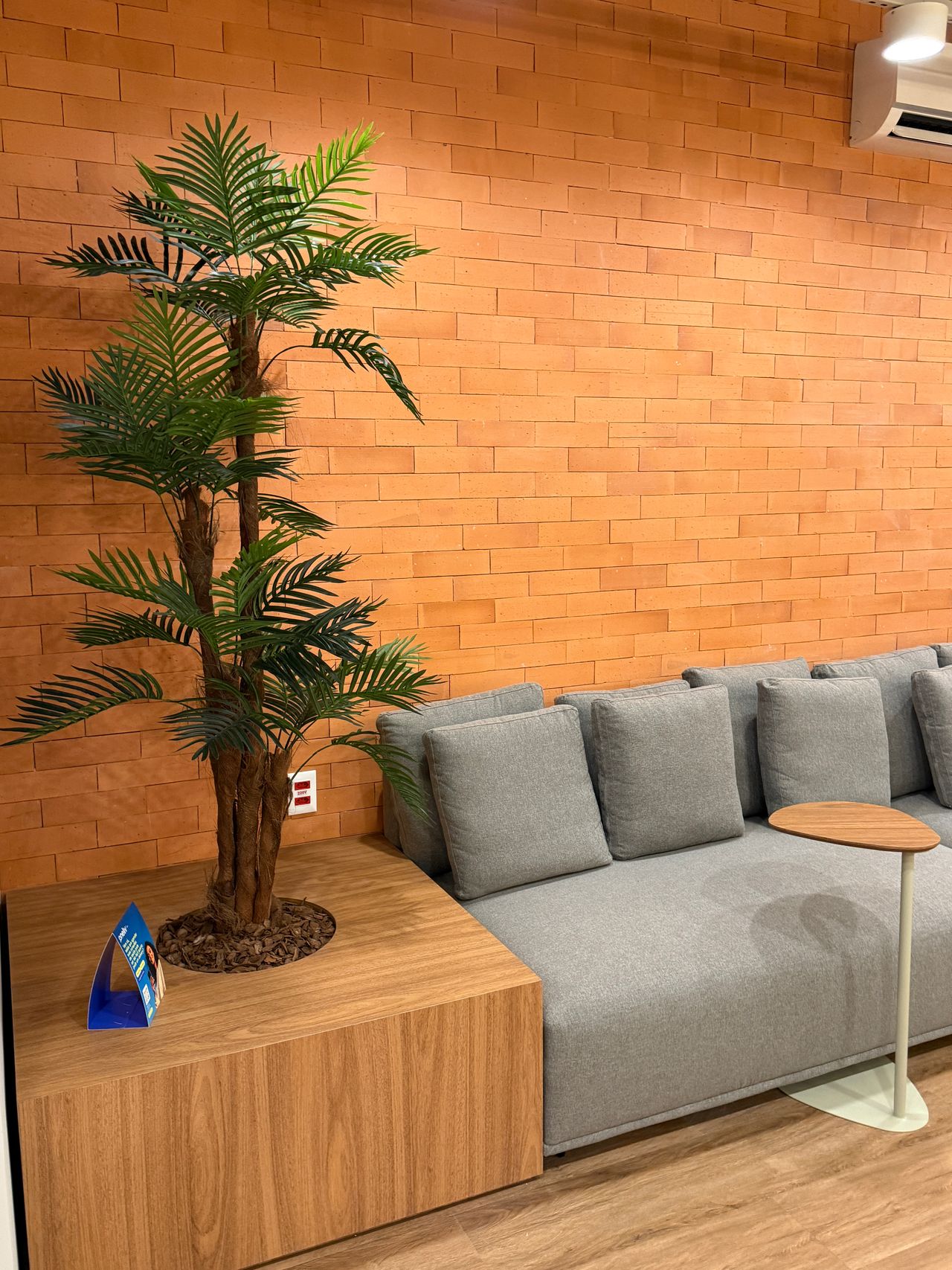 Letícia Barcelos Ribeiro-12