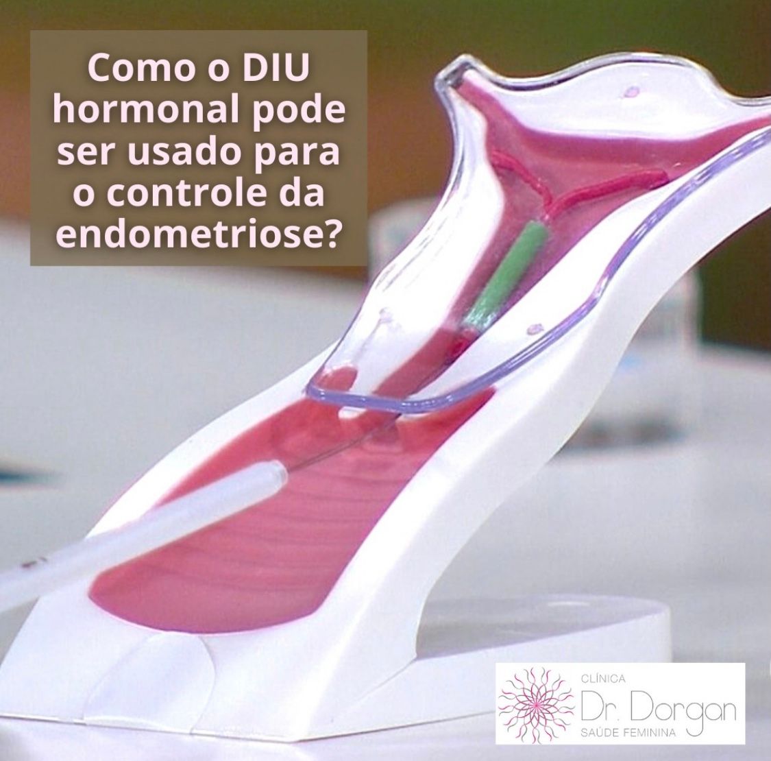 Luiz Carlos Dorgan Júnior-21