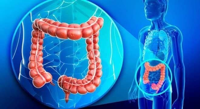 Fábio Miranda Ribeiro-5