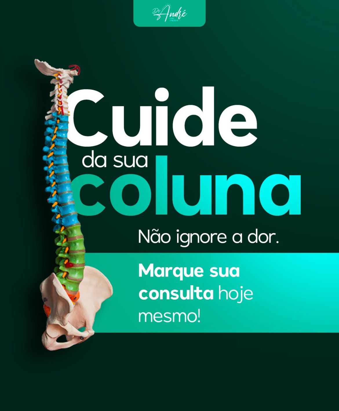 André Elias Junqueira-7